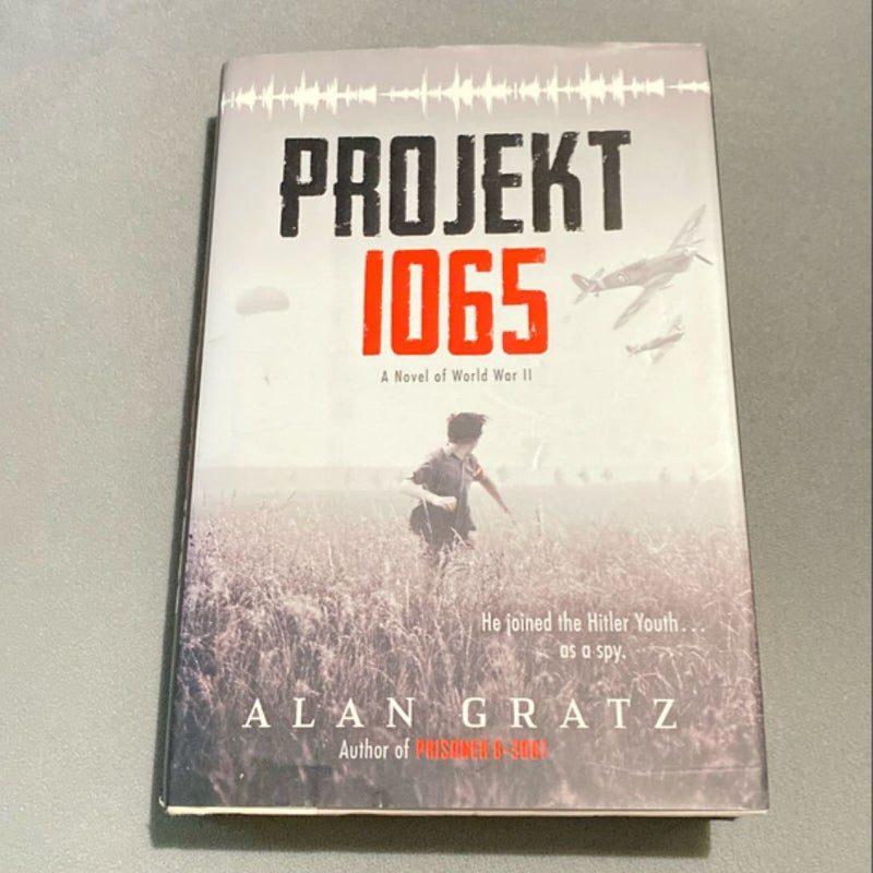 Projekt 1065