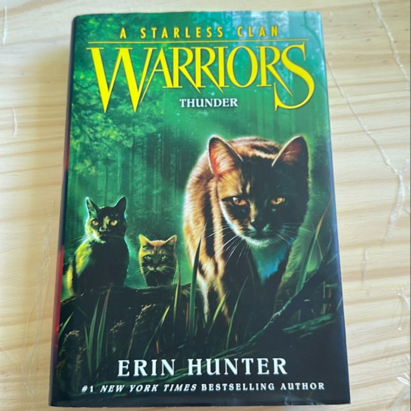 Warriors: a Starless Clan #4: Thunder