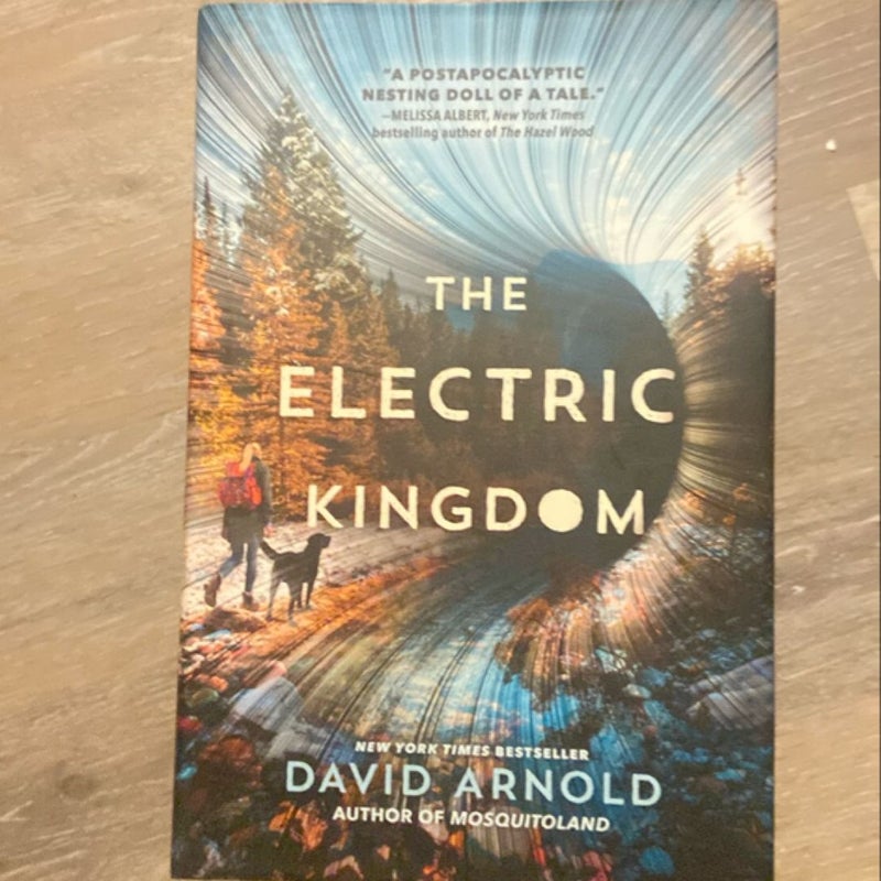 The Electric Kingdom