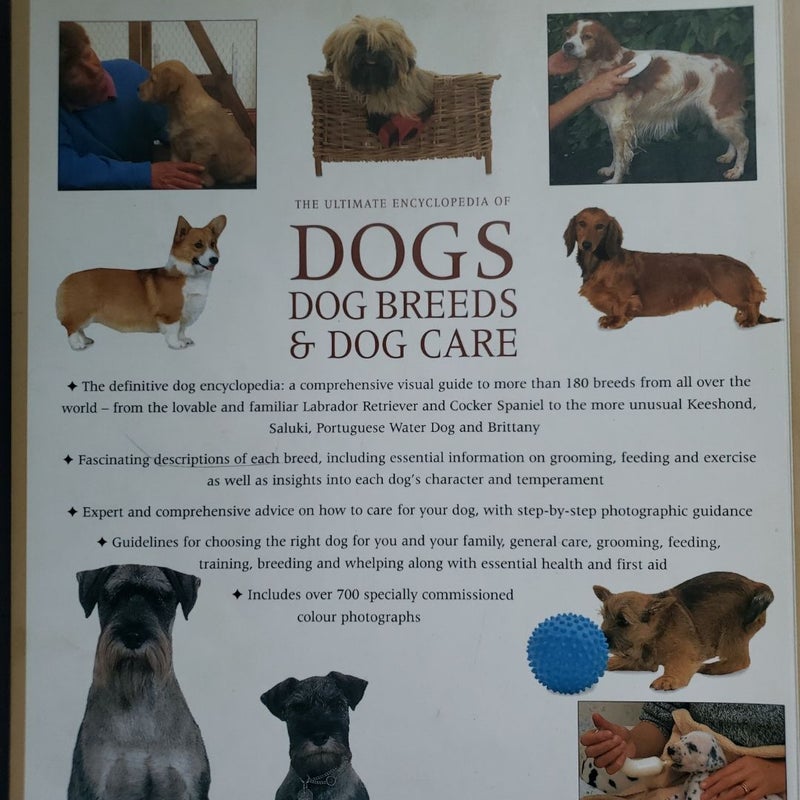 洋書 THE ULTIMATE GUIDE TO DOG BREEDS 61lM4B8STnL._AC_UF1000,