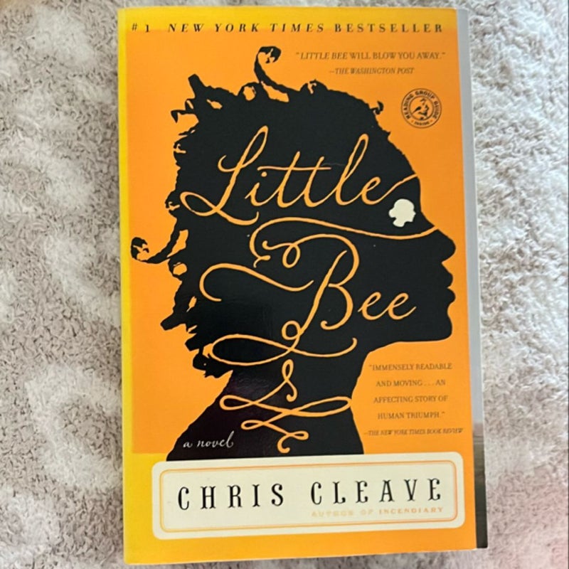Little Bee