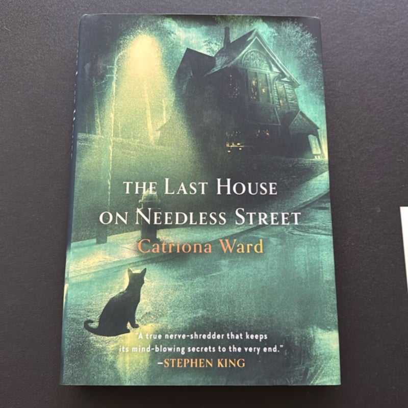 The Last House on Needless Street