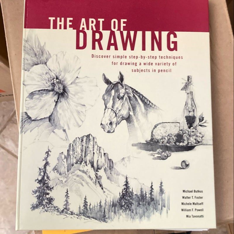 The art of drawing 