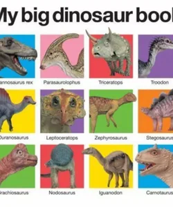 My Big Dinosaur Book