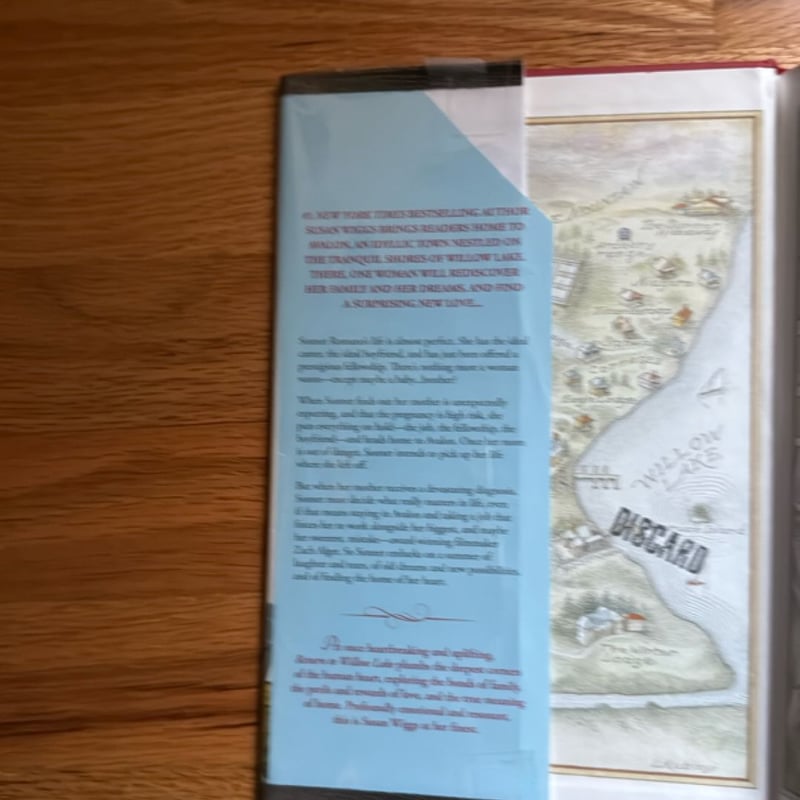 Return to Willow Lake