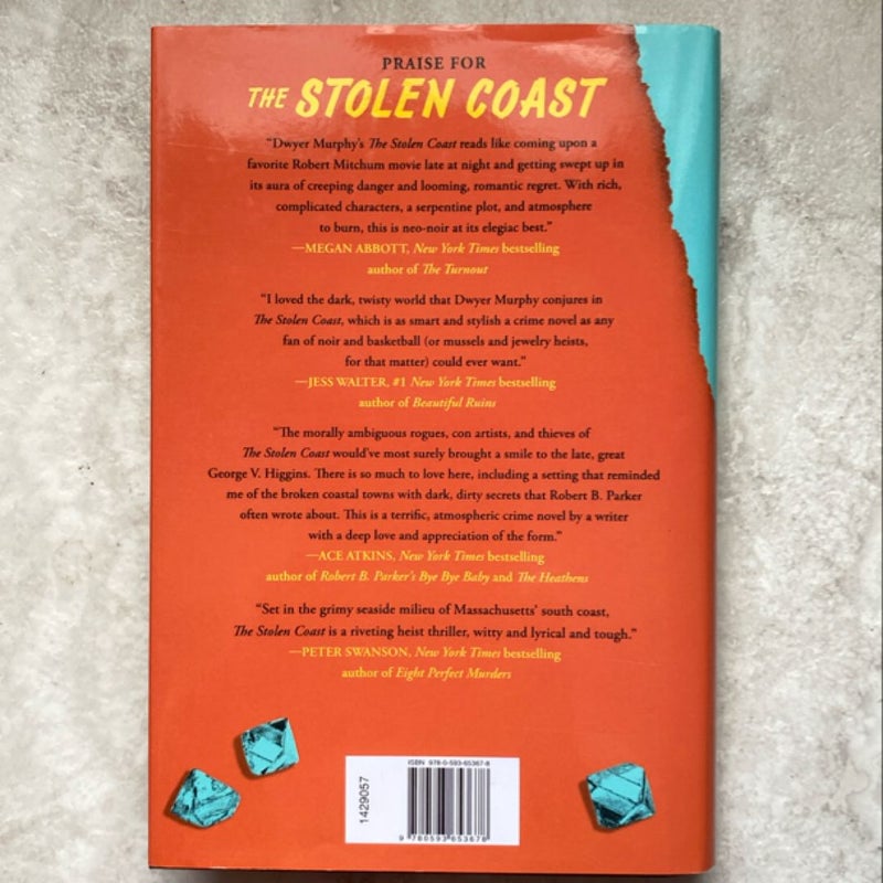 The Stolen Coast