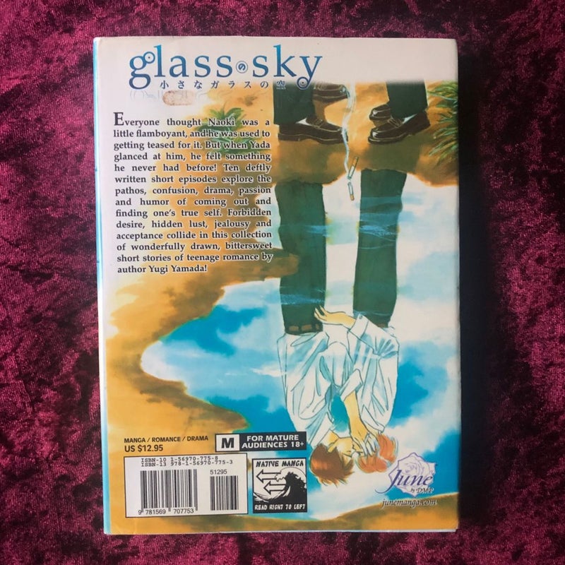 Glass Sky