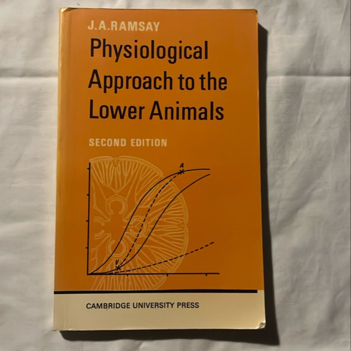 Physiological Approach to the Lower Animals by J. A. Ramsay