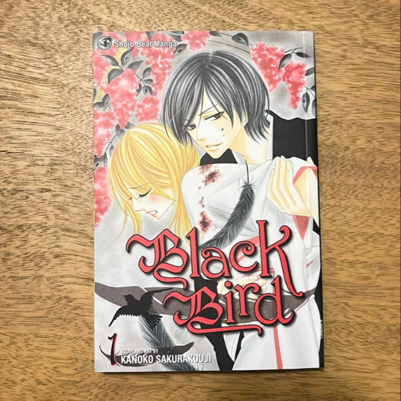 Black Bird, Vol. 1