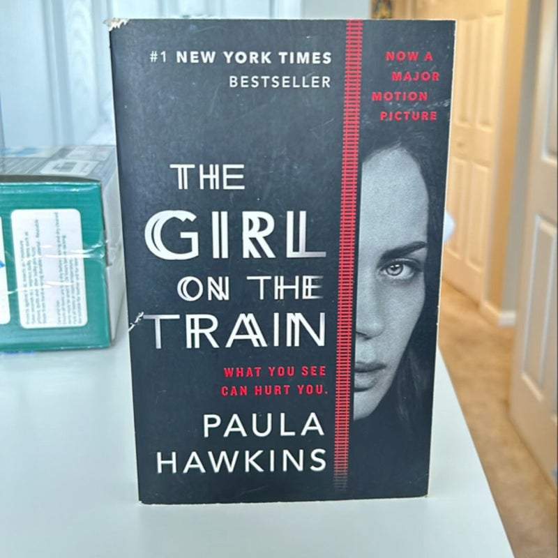 The girl on the train 