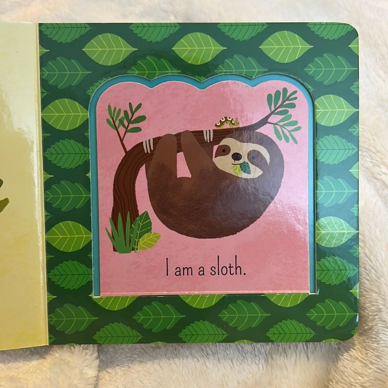 What Is a Sloth? by Ginger Swift
