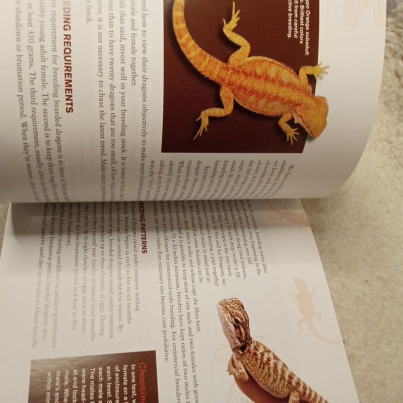 The Bearded Dragon Manual