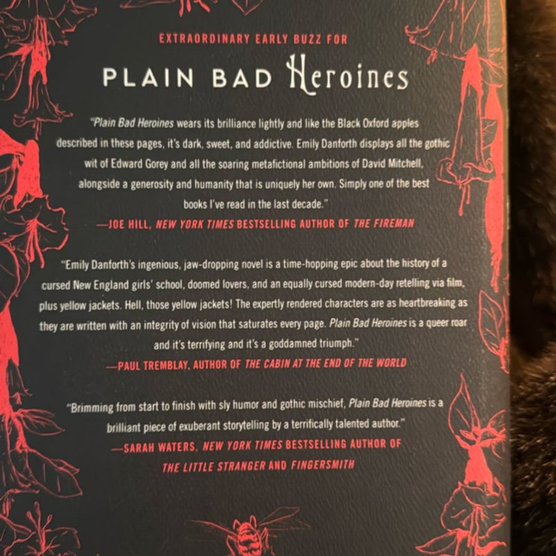 Plain Bad Heroines