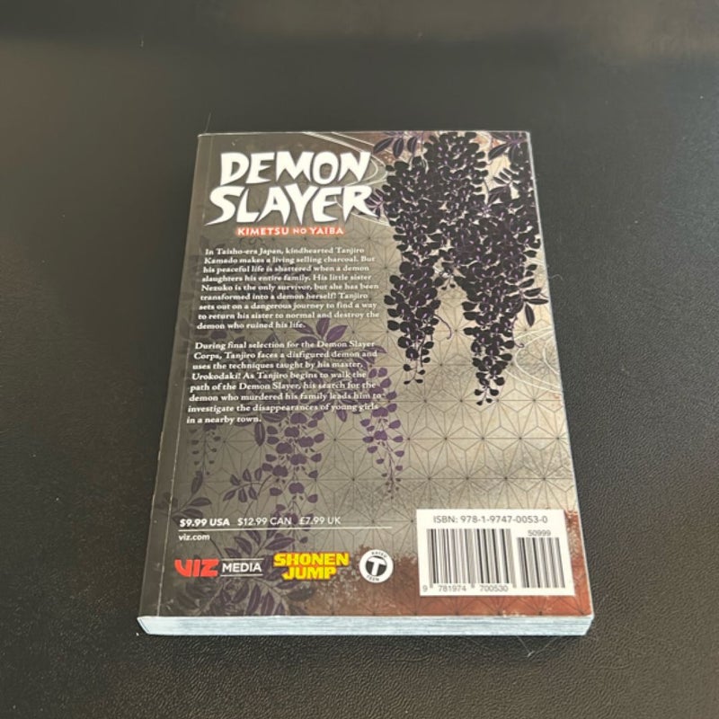 Demon Slayer: Kimetsu No Yaiba, Vol. 2