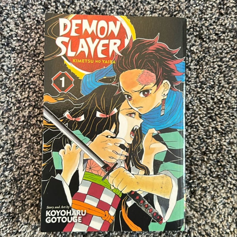 Demon Slayer: Kimetsu No Yaiba, Vol. 1