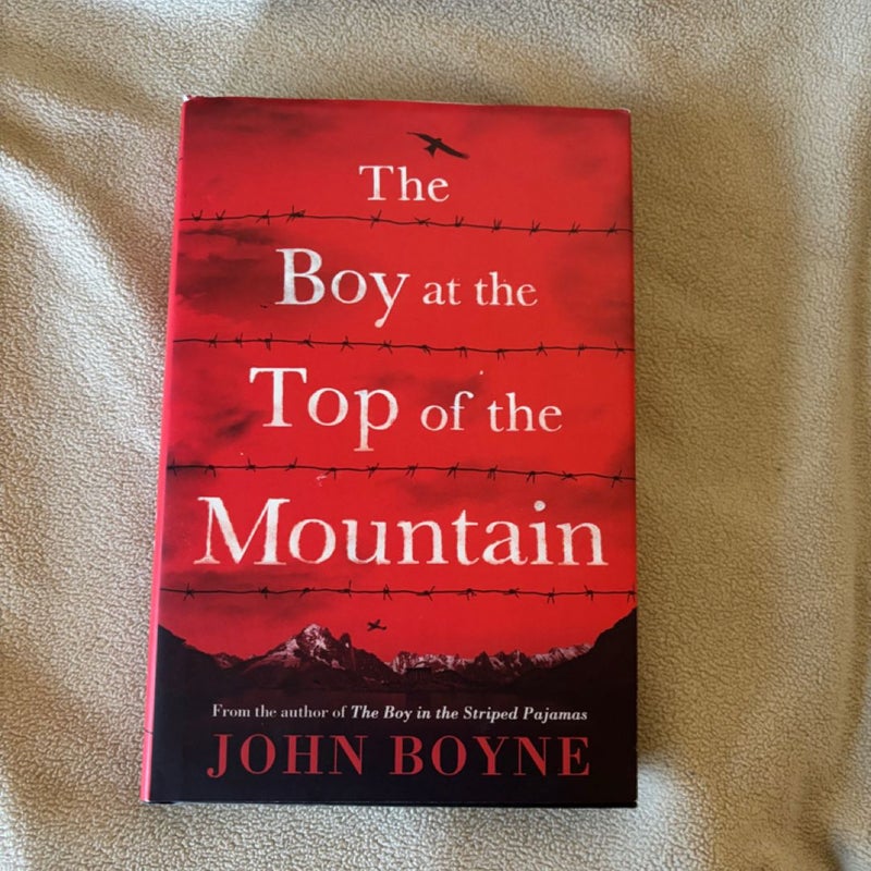 The Boy at the Top of the Mountain