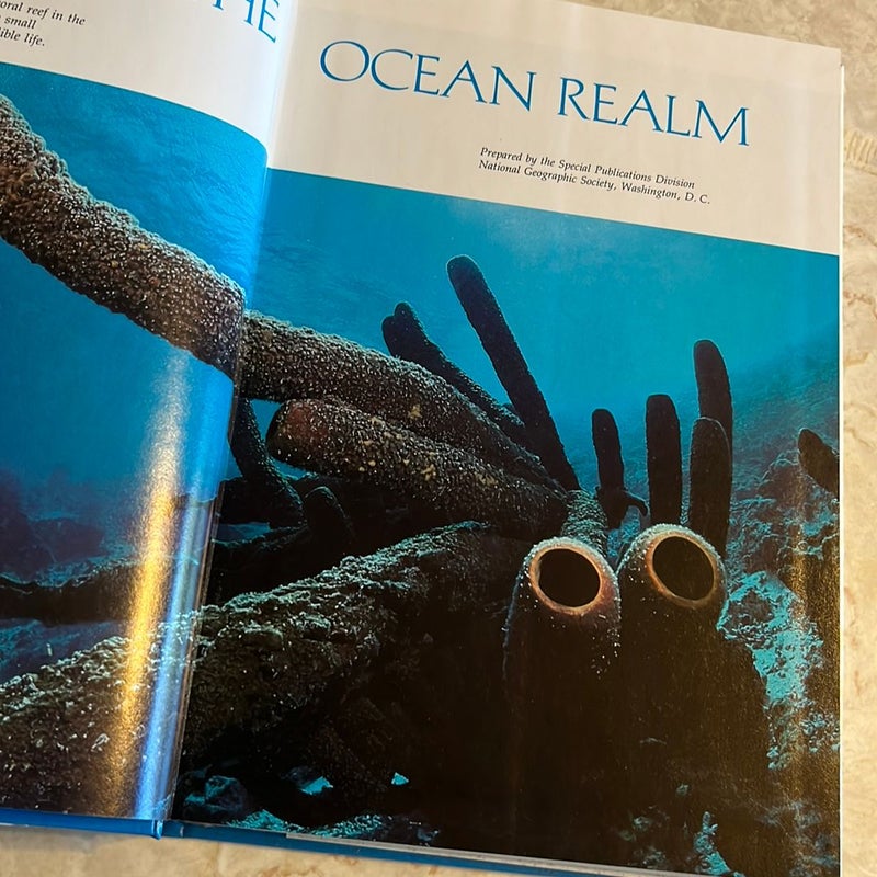 The Ocean Realm 
