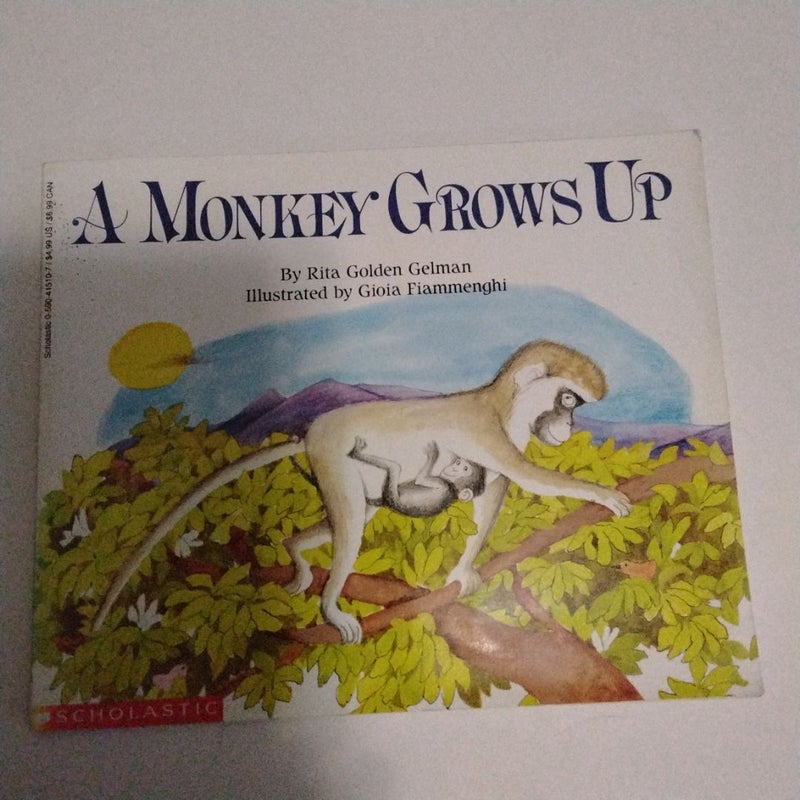 Monkey Grows Up