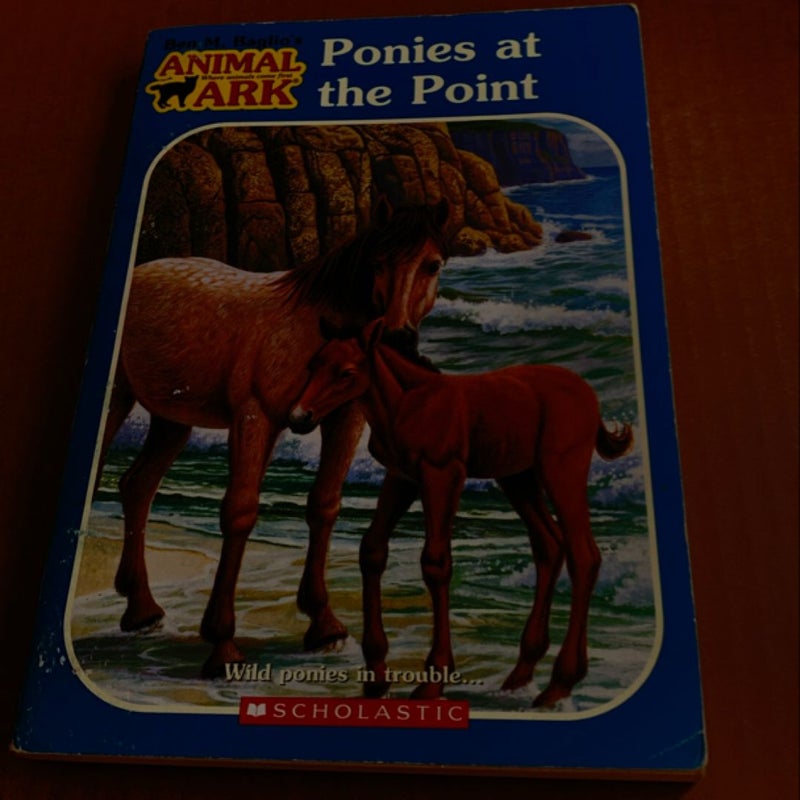 Ponies at the Point