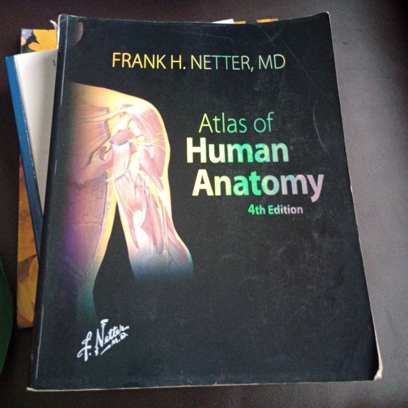 Human Anatomy