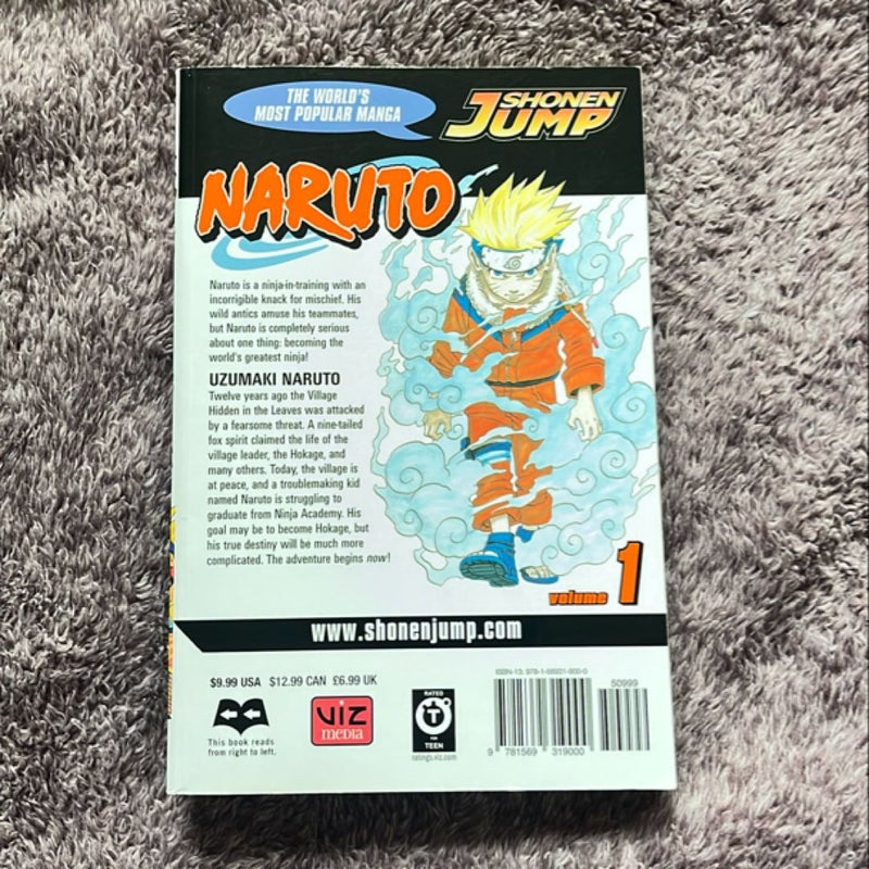 Naruto, Vol. 1