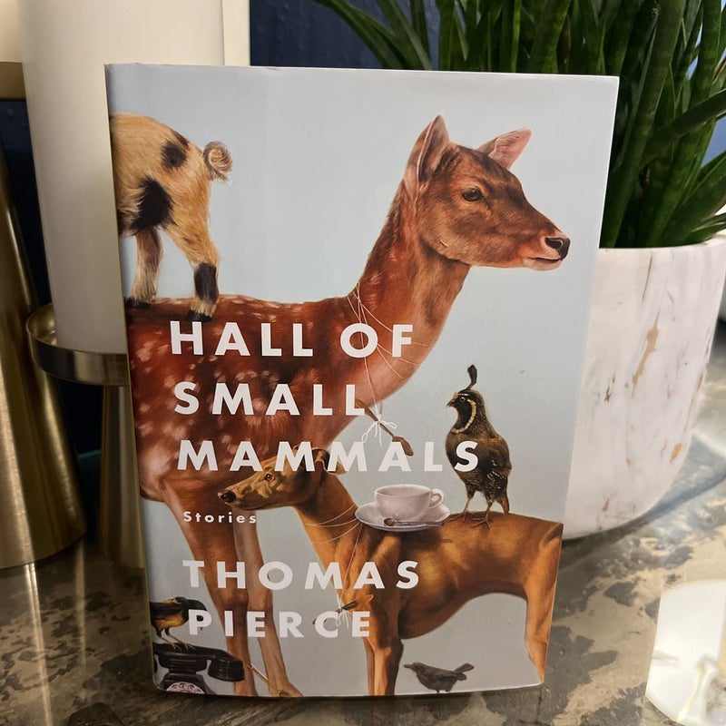 Hall of Small Mammals