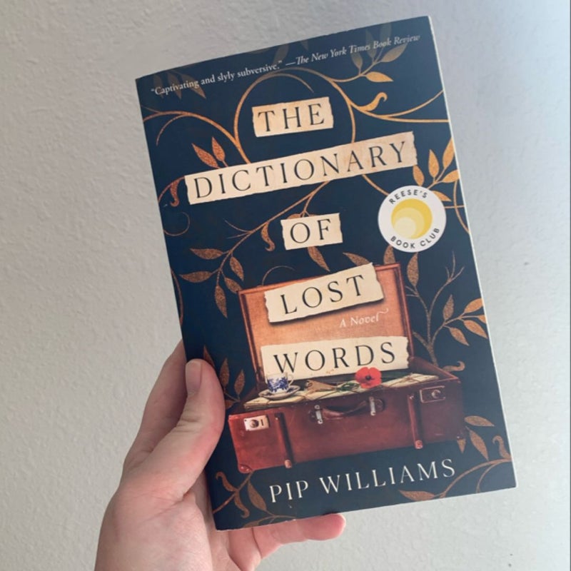 The Dictionary of Lost Words