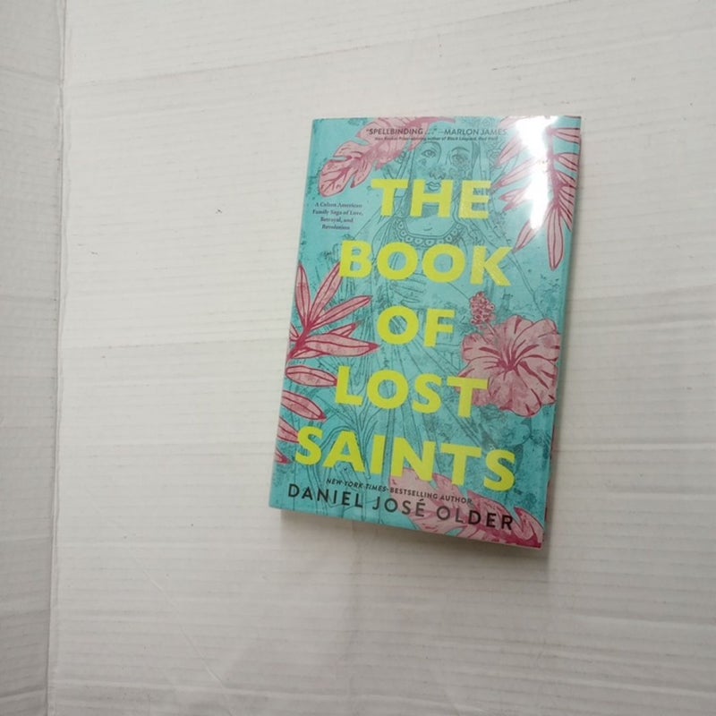 The Book of Lost Saints