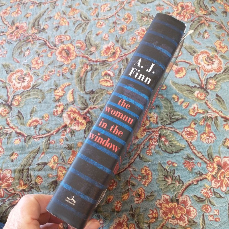 The Woman in the Window