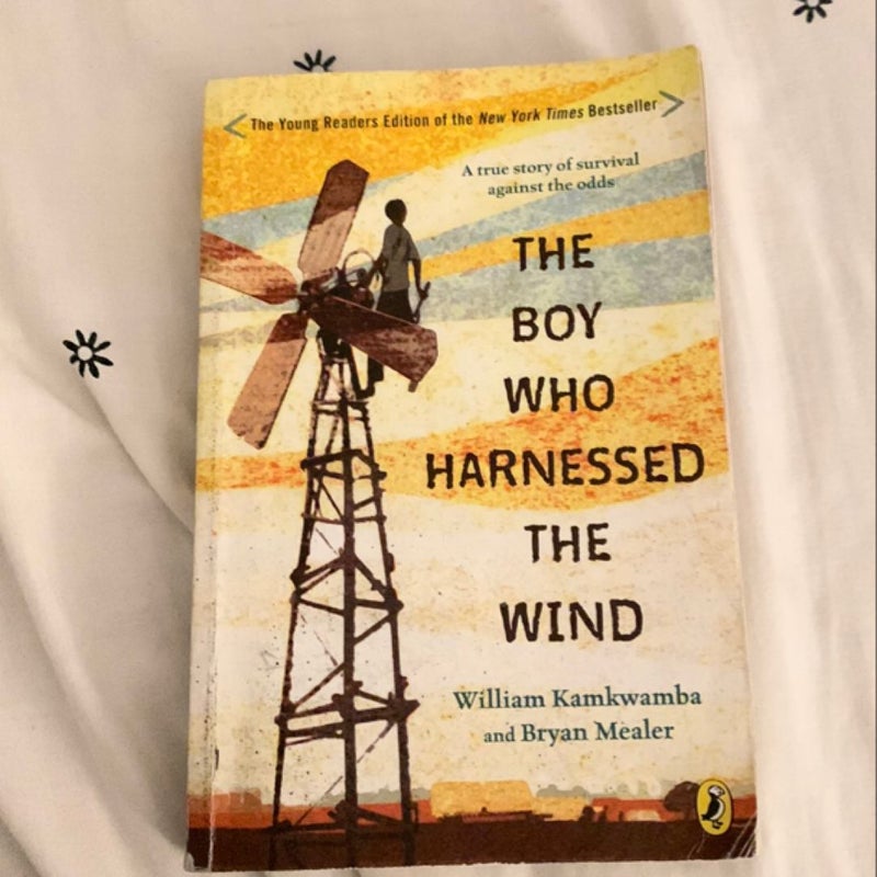 The Boy Who Harnessed the Wind