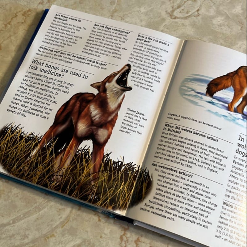 1100 Questions and Answers about the Natural World