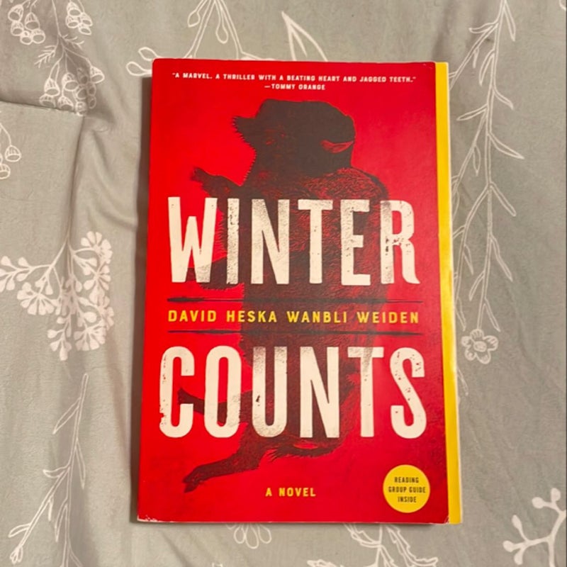 Winter Counts