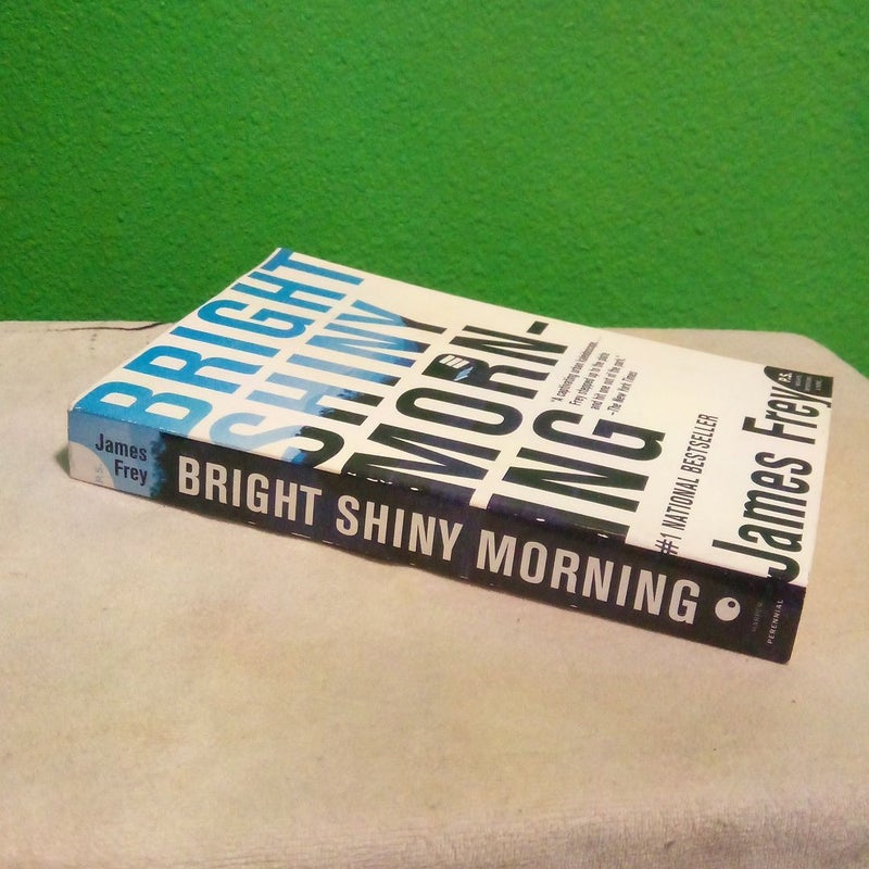 Bright Shiny Morning - First Harper Perennial Edition