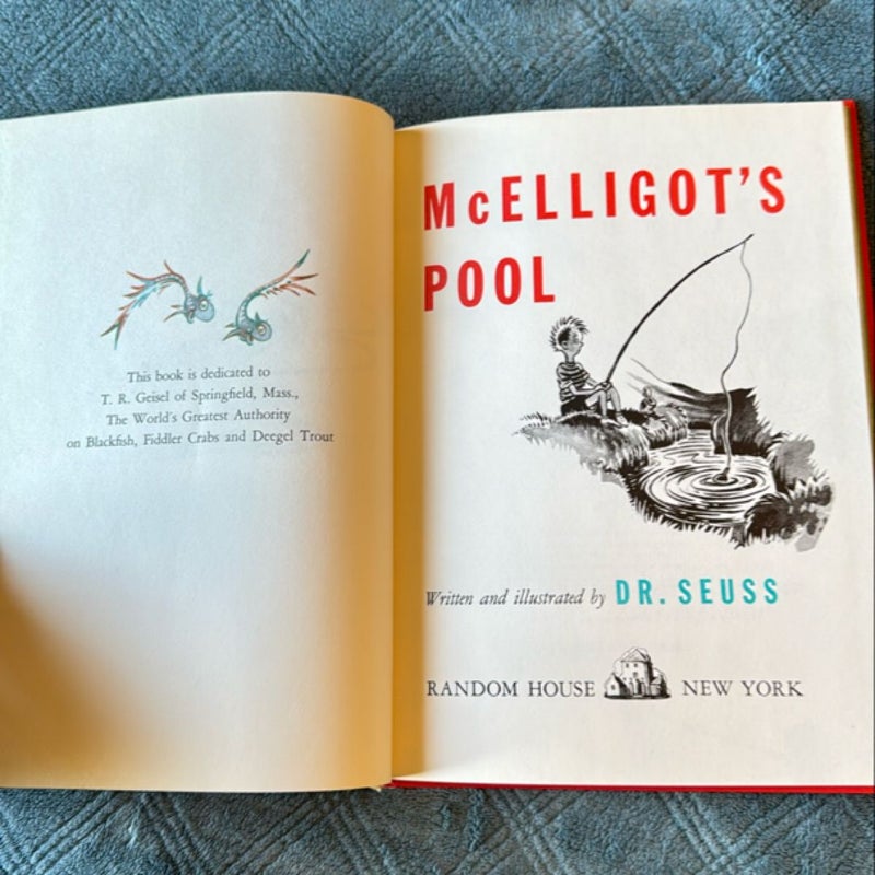 McElligot's Pool