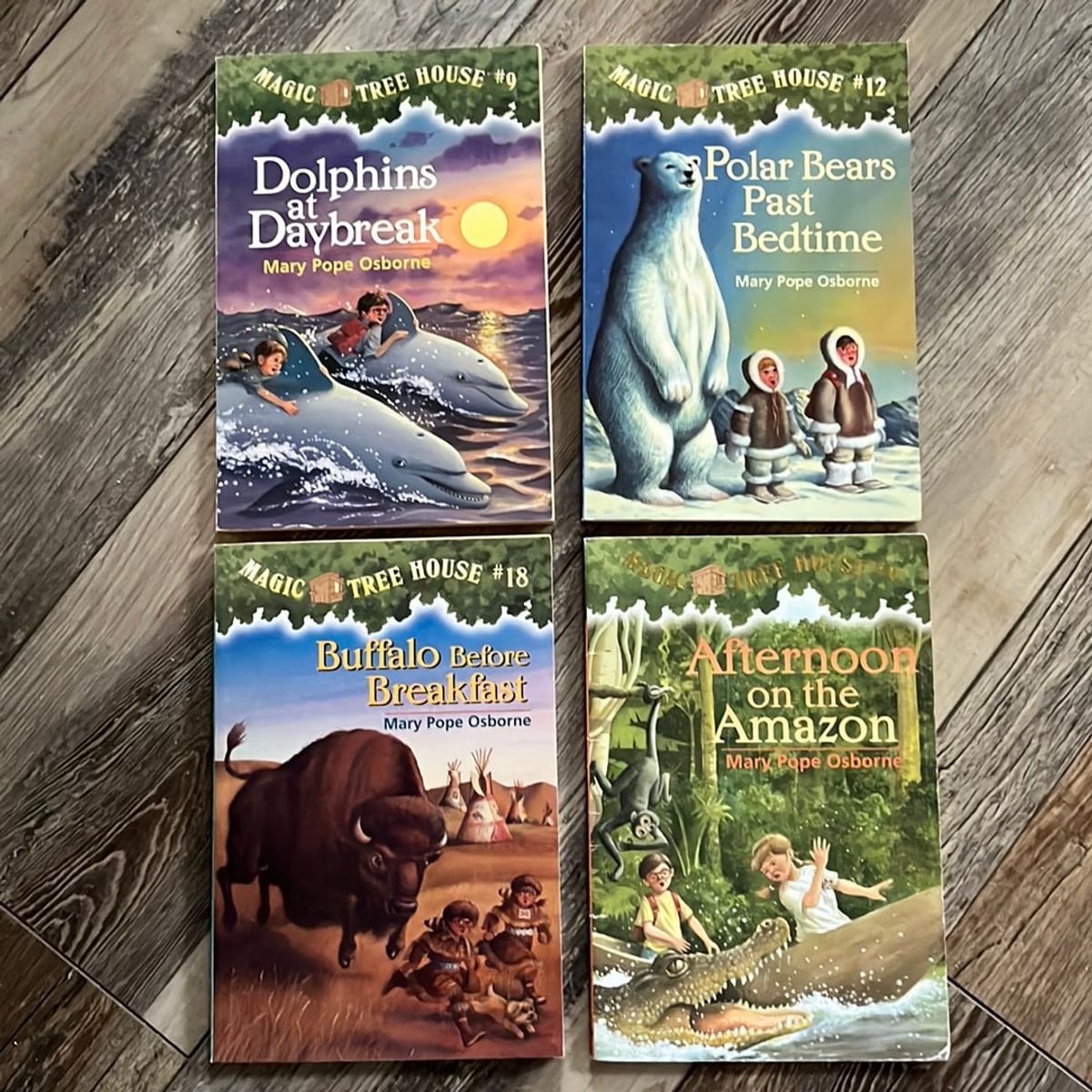 Collection of Magic Tree House Books - 4 in All by Mary Pope Osborne ...