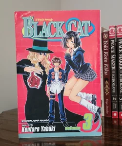 Black Cat, Vol. 3