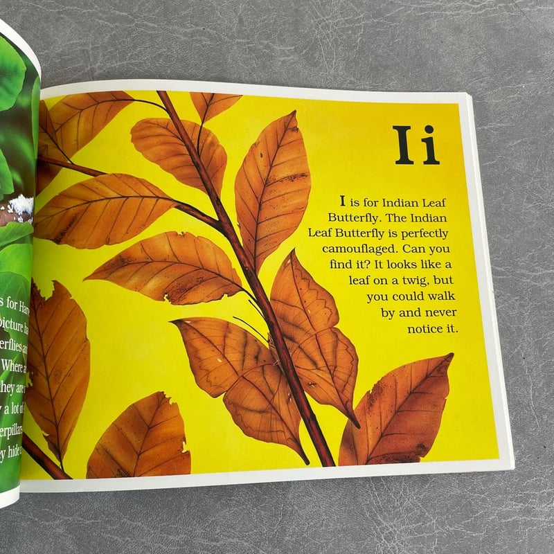 The Butterfly Alphabet Book