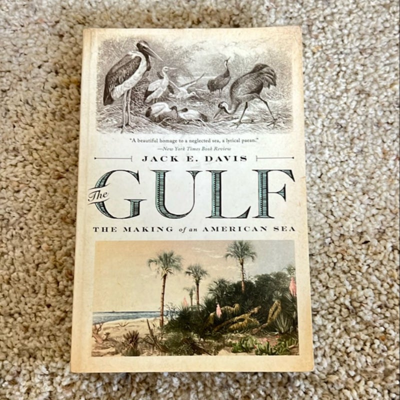 The Gulf