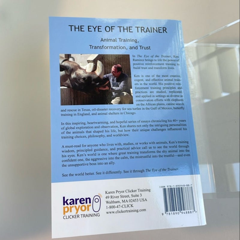 The Eye of the Trainer