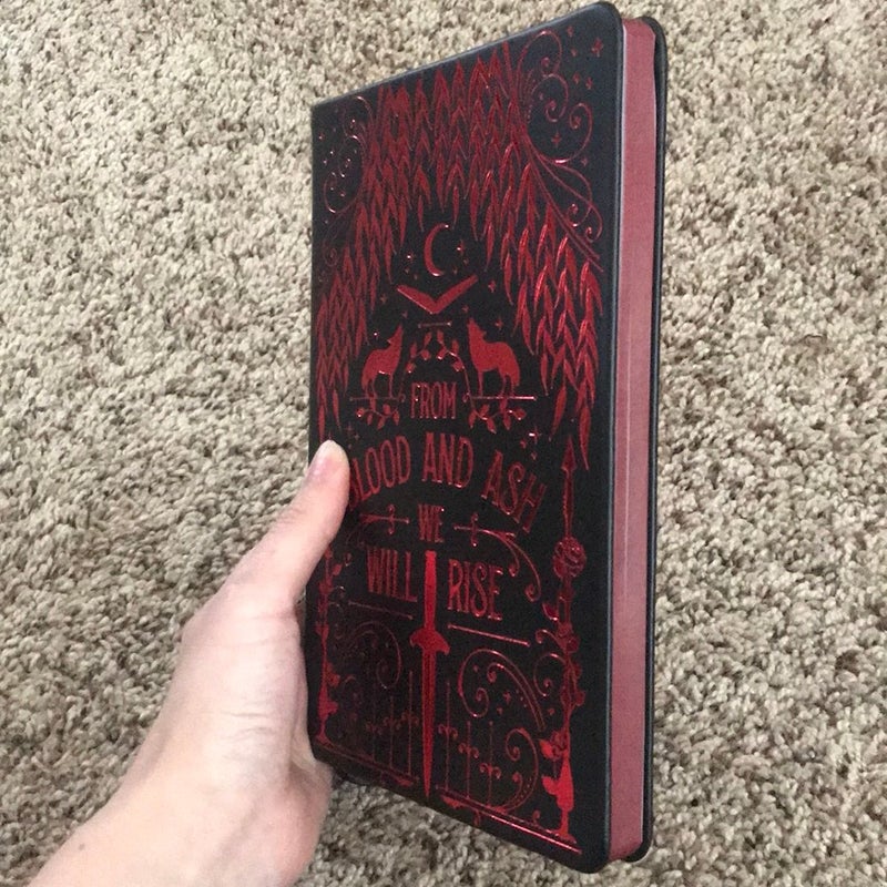 Fairyloot FBAA Reading Journal