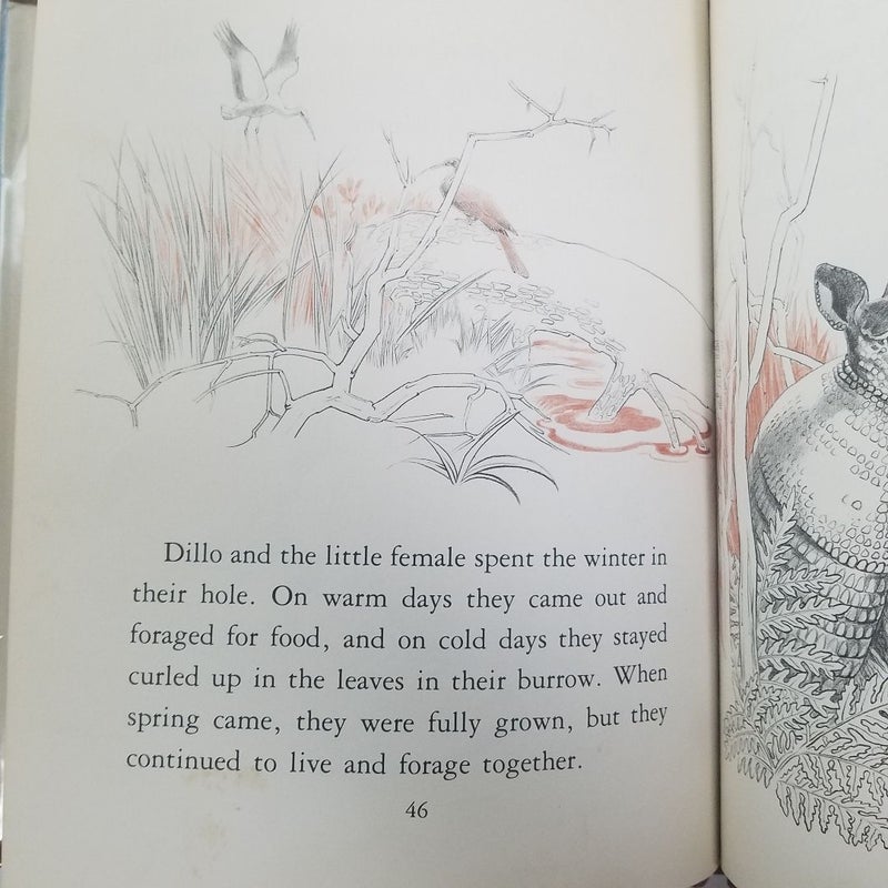 Biography of an Armadillo ©1975 (A Nature Biography Book)