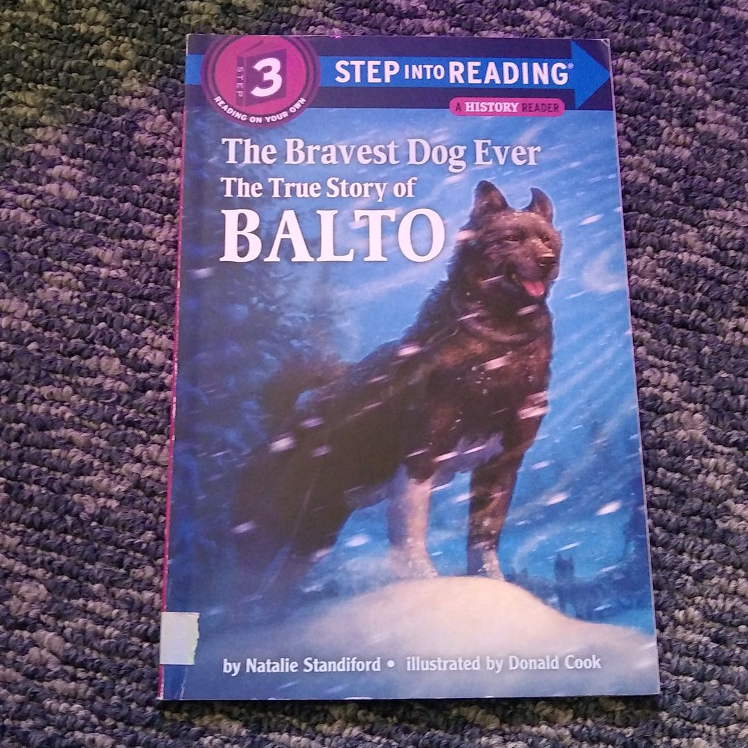 Sale image for bfbc799c-3871-4b83-b40a-3996db05a874-kQgNzubKFWbHeK9gz3fDRLNilxx1