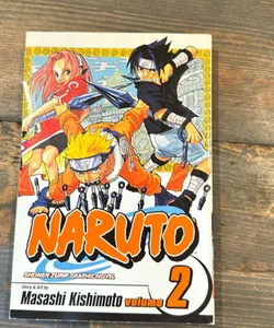 Naruto, Vol. 2