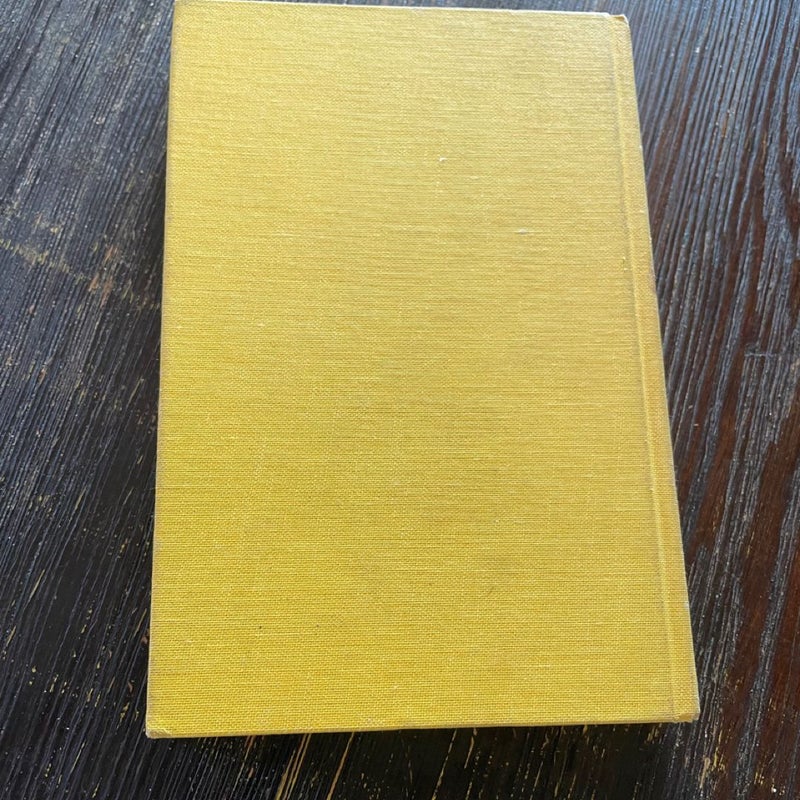 What is literature? Philosophy Essays 