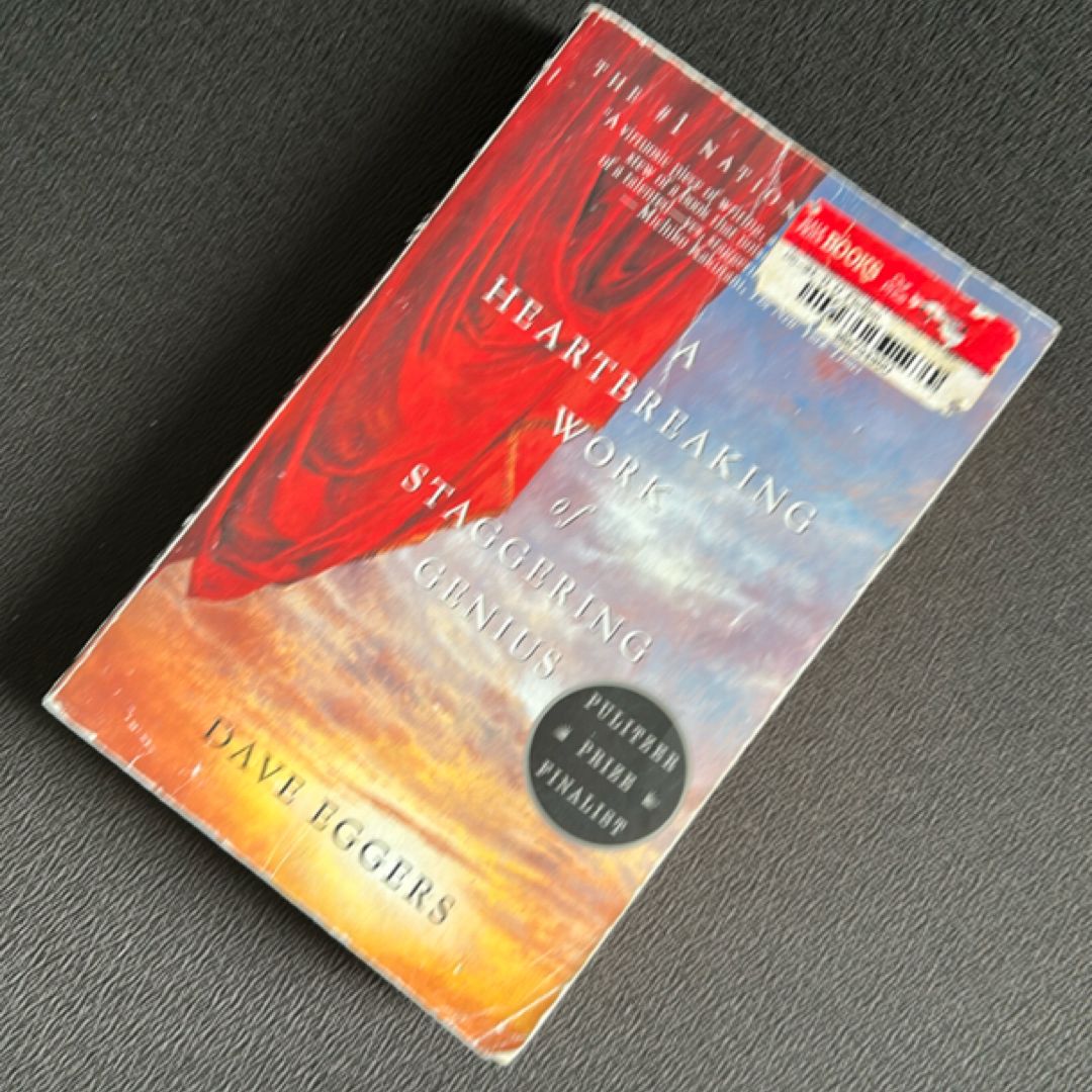 A Heartbreaking Work of Staggering Genius