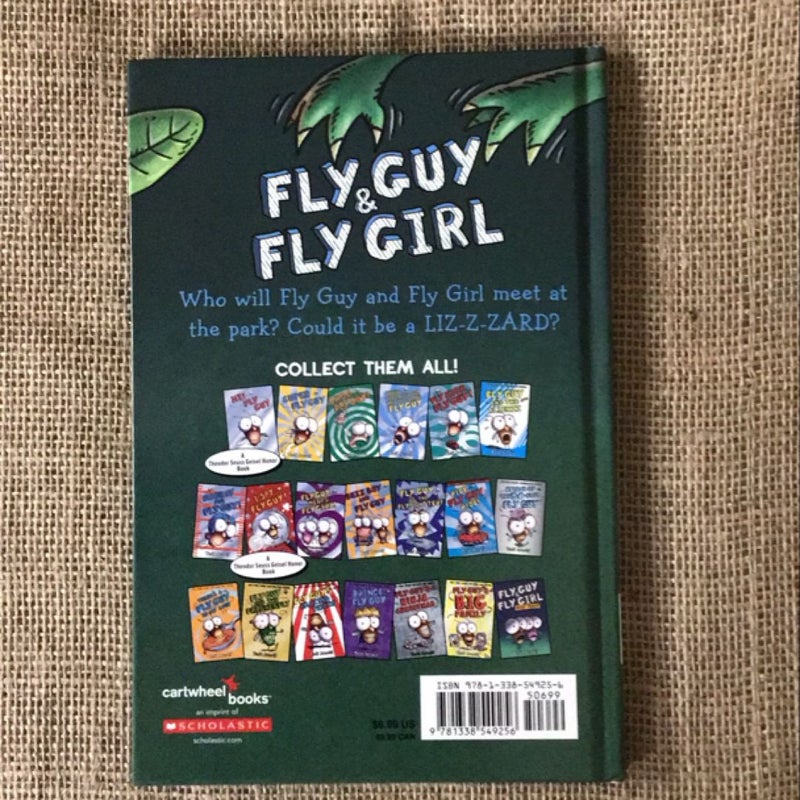 Fly Guy and Fly Girl: Friendly Frenzy