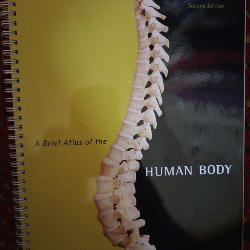 A Brief Atlas of the Human Body