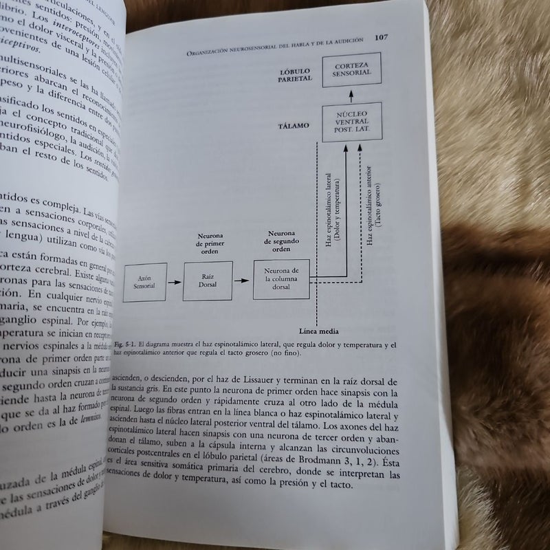 Neurologia para los especialistas del habla y del lenguaje