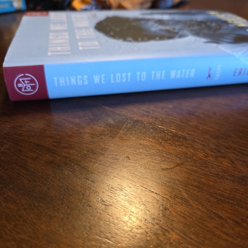 Things We Lost to the Water