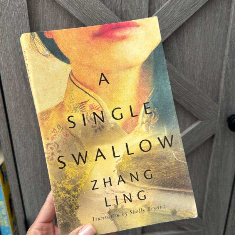 Single Swallow